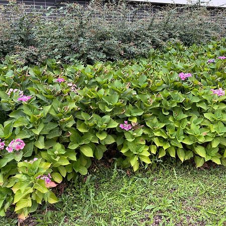 Jardins De La Noue Daire Villeneuve-la-Garenne Dış mekan fotoğraf